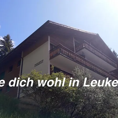Forest Heimelige 2 Zimmerwohnung Intime Apartment Leukerbad